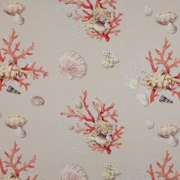Colefax and Fowler - Coral Sea - F3821/01 Cream