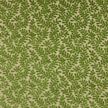 Colefax and Fowler - Brooke - F3909/03 Leaf Green