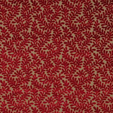 Colefax and Fowler - Brooke - F3909/05 Red