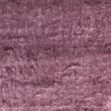 Colefax and Fowler - Keats - F3914/13 Amethyst