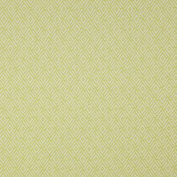 Colefax and Fowler - Milne - F3915/05 Lemon