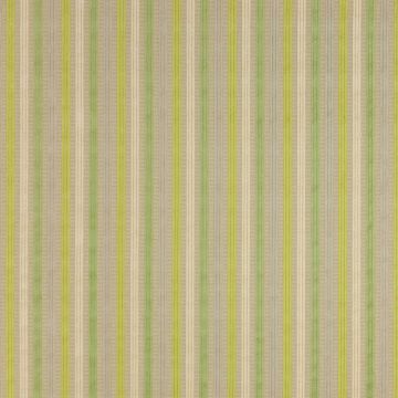 Colefax and Fowler - Hardy Stripe - F3917/04 Green