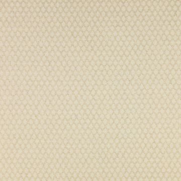 Colefax and Fowler - Bertram - F3921/01 Beige