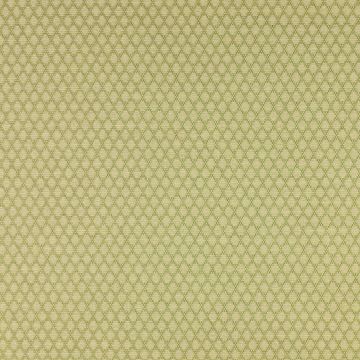 Colefax and Fowler - Bertram - F3921/03 Leaf