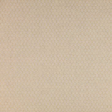 Colefax and Fowler - Bertram - F3921/06 Sand