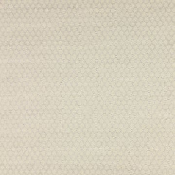 Colefax and Fowler - Bertram - F3921/08 Cream