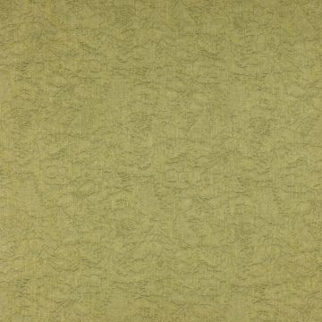 Colefax and Fowler - Ruskin - F3923/03 Green