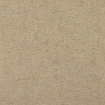 Colefax and Fowler - Ruskin - F3923/09 Stone