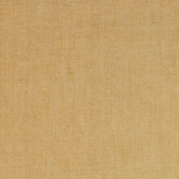Colefax and Fowler - Goddard - F3930/07 Sand