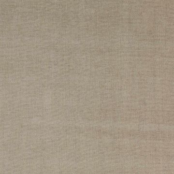 Colefax and Fowler - Goddard - F3930/15 Stone