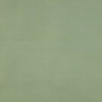Colefax and Fowler - Lucerne - F3931/85 Eau De Nil