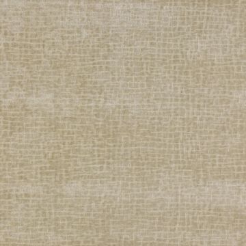 Colefax and Fowler - Simone - F4014/01 Cream