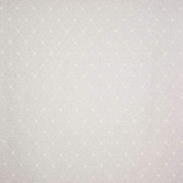 Colefax and Fowler - Anise Trellis - F4124/01 Ivory