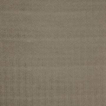 Colefax and Fowler - Calvert - F4129/03 Chinchilla