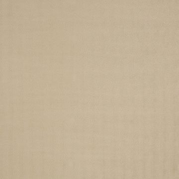 Colefax and Fowler - Calvert - F4129/06 Beige