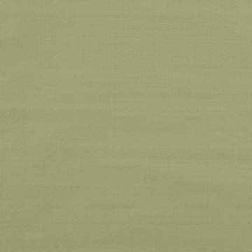 Colefax and Fowler - Padova - F4137/06 Pale Green