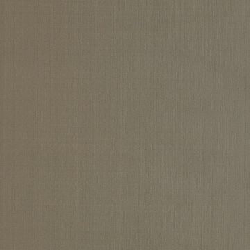 Colefax and Fowler - Padova - F4137/08 Gold