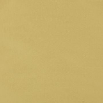 Colefax and Fowler - Padova - F4137/25 Yellow