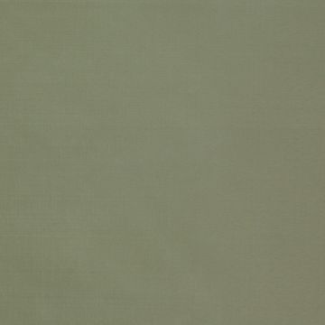 Colefax and Fowler - Padova - F4137/29 Celadon