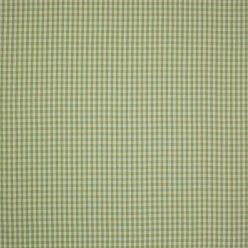 Colefax and Fowler - Minack Check - F4143/03 Leaf