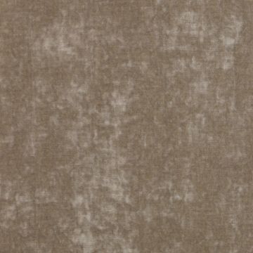 Colefax and Fowler - Theo - F4200/08 Chinchilla