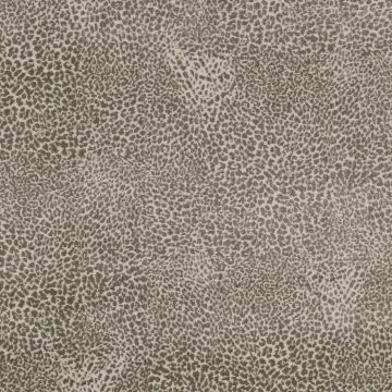 Colefax and Fowler - Otto - F4215/03 Beige