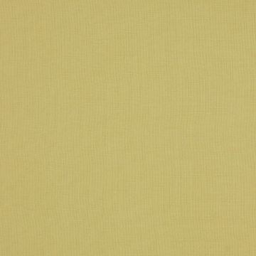 Colefax and Fowler - Foss - F4218/06 Yellow