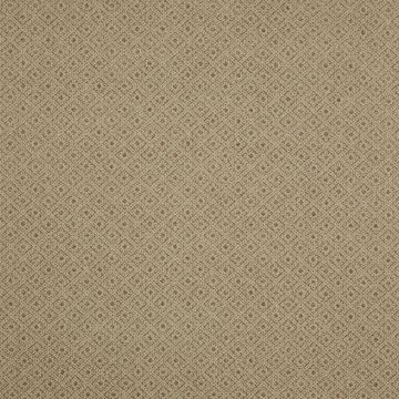 Colefax and Fowler - Millbrook - F4223/02 Stone