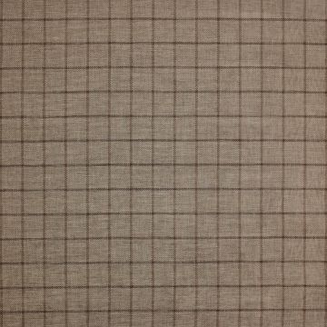 Colefax and Fowler - Larne Check - F4225/03 Taupe