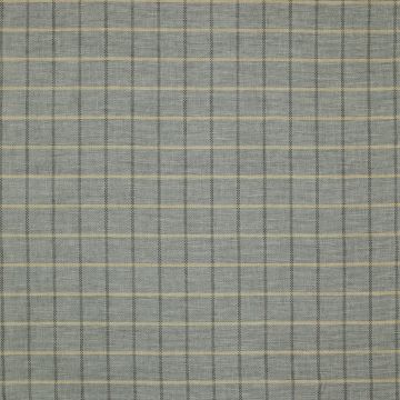 Colefax and Fowler - Larne Check - F4225/04 Old Blue