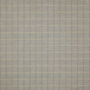 Colefax and Fowler - Larne Check - F4225/06 Silver
