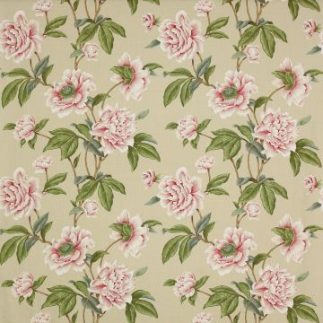 Colefax and Fowler - Giselle - F4230/04 Pink/Green