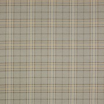 Colefax and Fowler - Dunmore Check - F4238/01 Silver