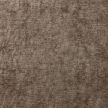 Colefax and Fowler - Casper - F4321/08 Chinchilla