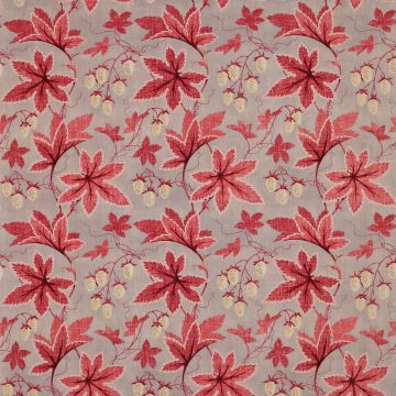 Colefax and Fowler - Lindon - F4332/04 Pink/Grey