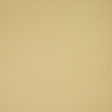 Colefax and Fowler - Blythe - F4355/04 Yellow