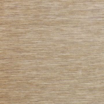 Colefax and Fowler - Caron - F4516/01 Beige