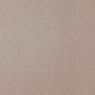 Colefax and Fowler - Carine - F4529/06 Chinchilla