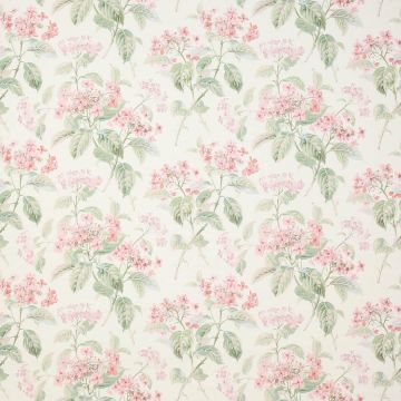 Colefax and Fowler - Eloise - F4602/01 Pink/Green