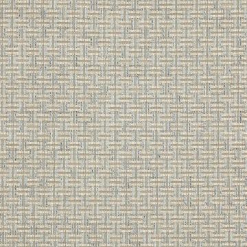 Colefax and Fowler - Keston - F4641/05 Old Blue