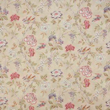 Colefax and Fowler - Leonora - F4660/01 Pink/Green