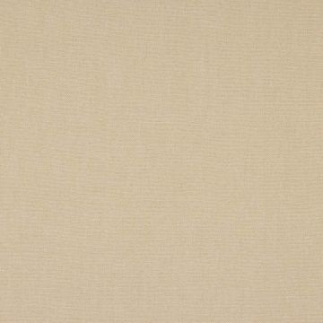 Colefax and Fowler - Tyndall - F4686-27 Dark Cream