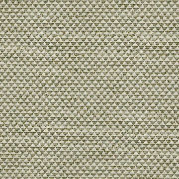 Colefax and Fowler - Newland - F4790-01 Olive