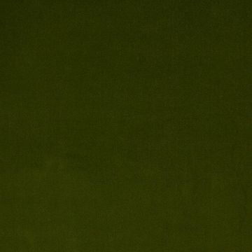 Colefax and Fowler - Dante - F4797-05 Green