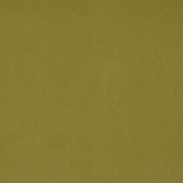 Colefax and Fowler - Dante - F4797-07 Willow