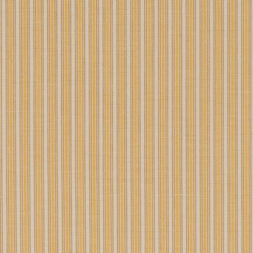 Colefax and Fowler - Brooke Stripe - F4826-05 Yellow
