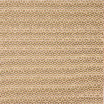 Colefax and Fowler - Woodberry - F4847-04 Gold