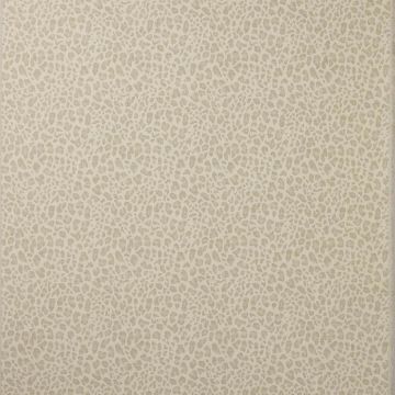 Colefax and Fowler - Chester - F4854-04 Silver