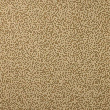 Colefax and Fowler - Chester - F4854-06 Gold