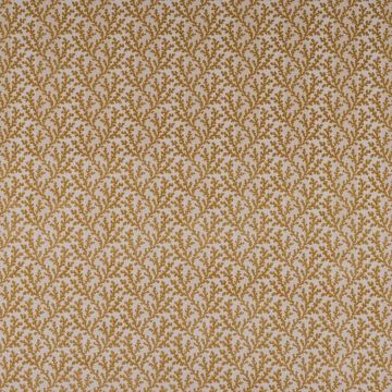Colefax and Fowler - Pelham - F4857-05 Gold